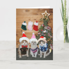 カスタマイズ可能なクリスマスの猫または猫ちゃんのアーガイルのセーター シーズンカード