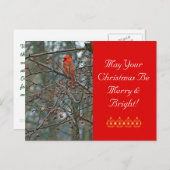 カスタマイズ可能なクリスマスポストカード/赤(鳥)ショウジョウコウカンチョウ シーズンポストカード (正面/裏面)