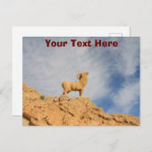 カスタマイズ可能なチュニジアのヤギ像はがき ポストカード (正面/裏面)