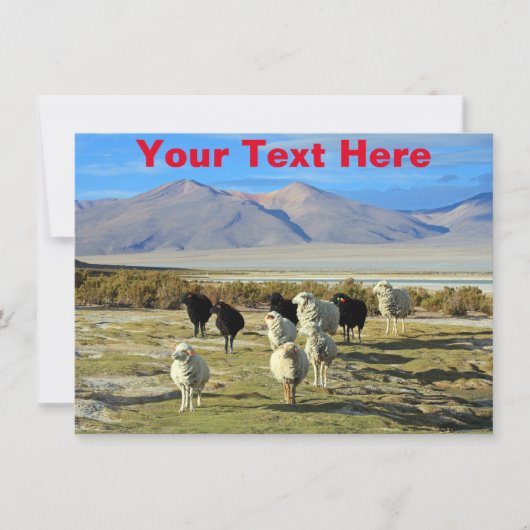 カスタマイズ可能なチリの羊のカード (正面)