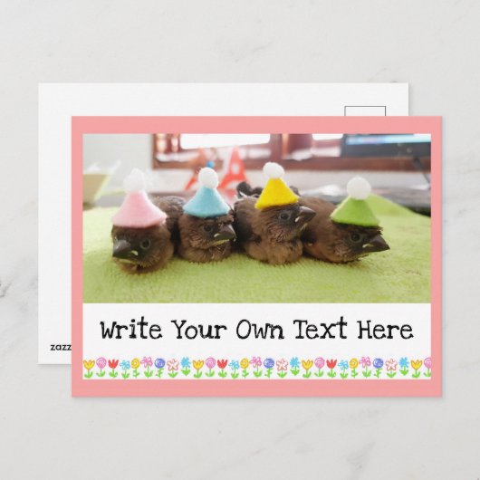 カスタマイズ可能なテキスト かわいいベイビー フィンチ 鳥 ポストカード (正面/裏面)