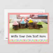 カスタマイズ可能なテキスト かわいい赤ちゃん鳥 フィンチ フィンチ ポストカード (正面/裏面)