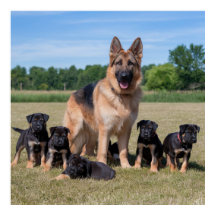カスタマイズ可能なドイツ牧羊犬と愛らしい子犬