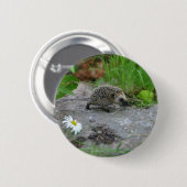 カスタマイズ可能なハリネズミボタン- 缶バッジ (正面&裏面)