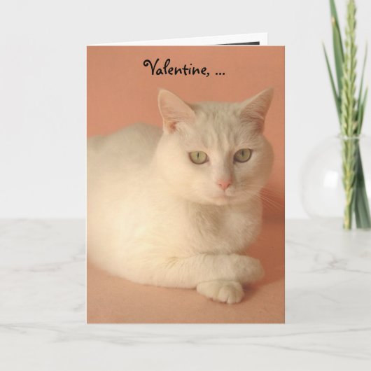 カスタマイズ可能なバレンタインねこ シーズンカード (正面)