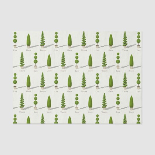 カスタマイズ可能なヒノキのトピアリー「生きた成長の繁栄」 薄葉紙 (正面)