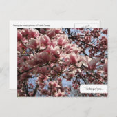 カスタマイズ可能なピンクマグノリア花はがき ポストカード (正面/裏面)