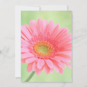 カスタマイズ可能なピンク色のガーベラデイジー招待状 招待状 (裏面)