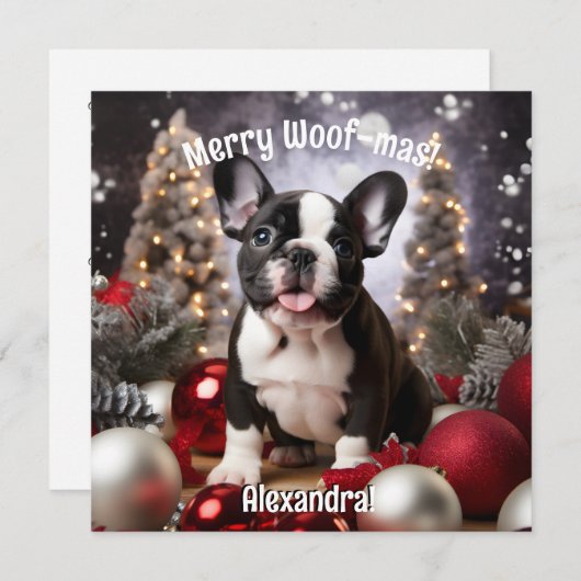 カスタマイズ可能なフェスティバルフランス調和 (正面/裏面)