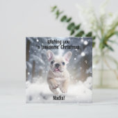 カスタマイズ可能なフェスティバルフレンチフロリック (スタンド正面)