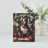 カスタマイズ可能なフェスティバルFurry Duo ポストカード (スタンド正面)