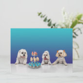 カスタマイズ可能なフラットパーティー招待カード 5x7 招待状 (スタンド正面)