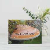 カスタマイズ可能なブラケット真菌カード (スタンド正面)