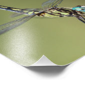 カスタマイズ可能なプリント、Dragonfly with Vortex Eyes フォトプリント (角)