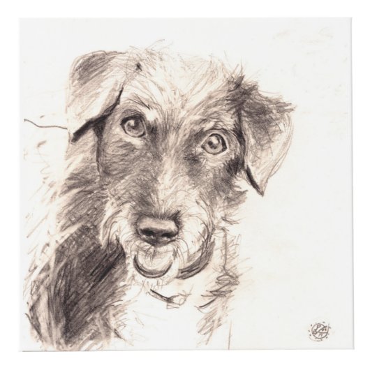 カスタマイズ可能なペット記念の写真の立方体は詩を加えます フォトキューブ (正面)