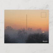 カスタマイズ可能なポジティブな名言 ツイッツ ロアルド・ダール ポストカード (裏面)