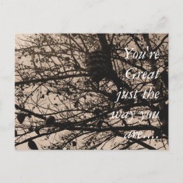 カスタマイズ可能なポストカード自然撮影 ポストカード