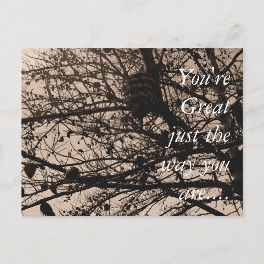 カスタマイズ可能なポストカード自然撮影 ポストカード (正面)