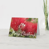 カスタマイズ可能なポフタカワ クリスマス キウイ カード (正面)