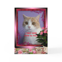 カスタマイズ可能なユーモア猫バレンタイン