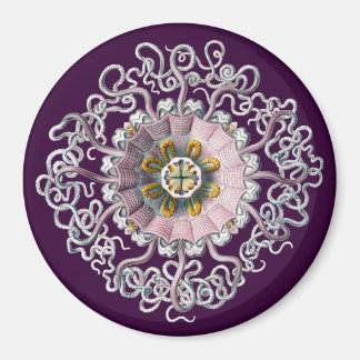 カスタマイズ可能なヴィンテージヘッケル マグネット