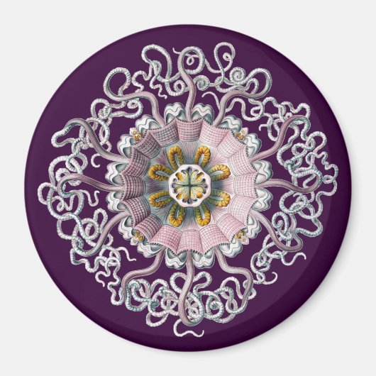 カスタマイズ可能なヴィンテージヘッケル マグネット (正面)