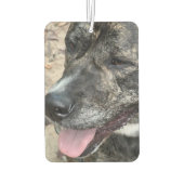 カスタマイズ可能な両面フォトエアコン カーエアーフレッシュナー (裏面)