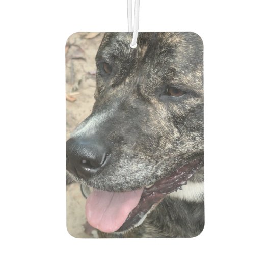 カスタマイズ可能な両面フォトエアコン カーエアーフレッシュナー (裏面)