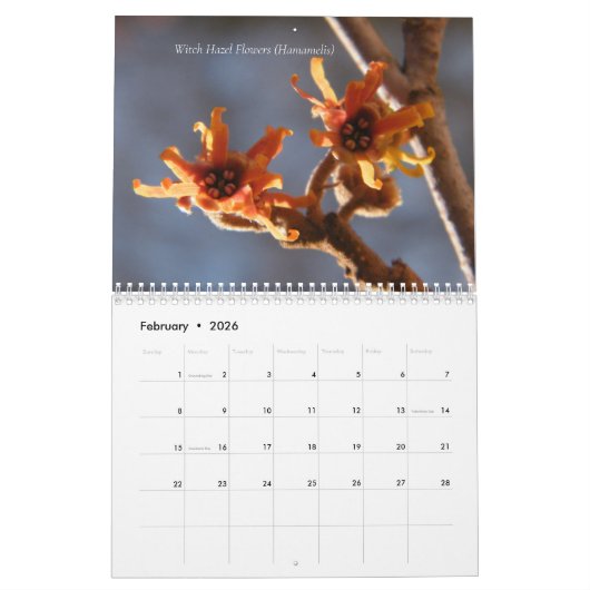 カスタマイズ可能な予定表の写真と文字の追加 カレンダー (2月 2026)