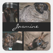 カスタマイズ可能な写真コラージュのモノグラム犬の恋人 スクエアシール (正面)
