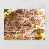 カスタマイズ可能な友情引用文 – シャーロットのくもの巣 ポストカード (正面)