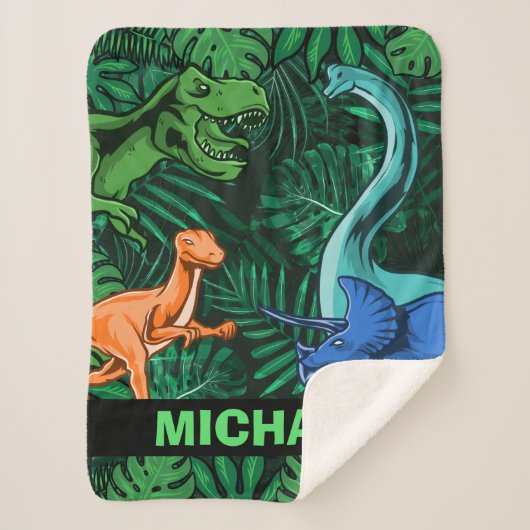 カスタマイズ可能な恐竜キッズディノジュラシックトレックスボーイ シェルパブランケット (正面)