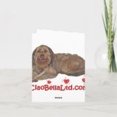 カスタマイズ可能な柴犬犬と赤いハート シーズンカード (裏面)