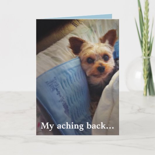 カスタマイズ可能な温湿布のヨークシャーテリア サンキューカード (正面)