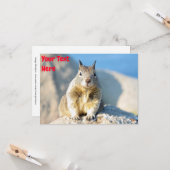 カスタマイズ可能な灰色のリスのカード カード (正面/裏面インサイチュ)