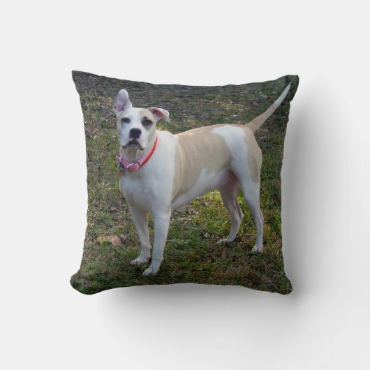 カスタマイズ可能な犬とエミリーディキンソンの引用文 クッション (正面)