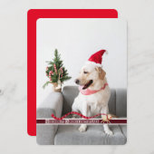 カスタマイズ可能な犬のメリークリスマス シーズンカード (正面/裏面)