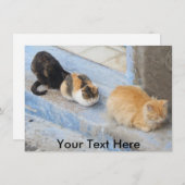 カスタマイズ可能な猫， Chefchaouen，モロッコのカード (正面/裏面)