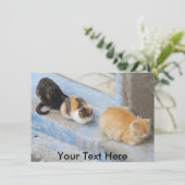 カスタマイズ可能な猫， Chefchaouen，モロッコのカード (スタンド正面)