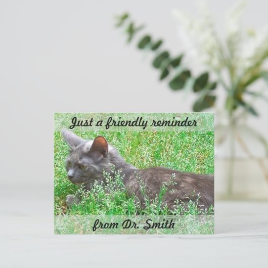 カスタマイズ可能な獣医検査の注意喚起 ポストカード (スタンド正面)