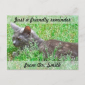 カスタマイズ可能な獣医検査の注意喚起 ポストカード (正面)