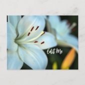 カスタマイズ可能な白いLilyポストカード ポストカード (正面)