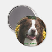 カスタマイズ可能な磁石 マグネット (正面/裏面)