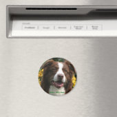 カスタマイズ可能な磁石 マグネット (インサイチュ (食洗機))