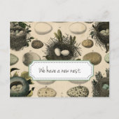 カスタマイズ可能な移動告知//ヴィンテージバード 案内ポストカード (正面)