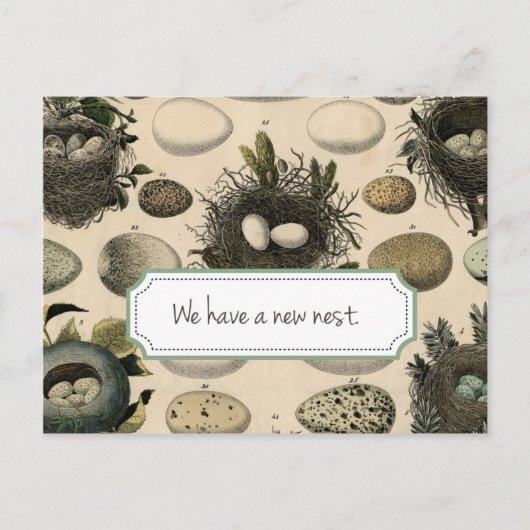 カスタマイズ可能な移動告知//ヴィンテージバード 案内ポストカード (正面)