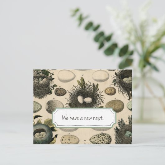 カスタマイズ可能な移動告知//ヴィンテージバード 案内ポストカード (スタンド正面)