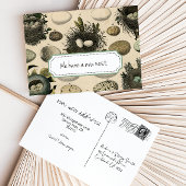 カスタマイズ可能な移動告知//ヴィンテージバード 案内ポストカード