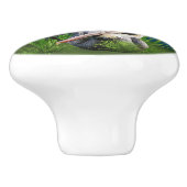 カスタマイズ可能な組のブラウンのペリカン セラミックノブ (側面)