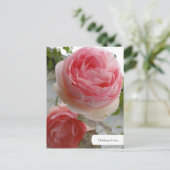 カスタマイズ可能な英語バラガーデンポストカード ポストカード (スタンド正面)